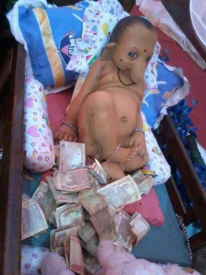 ShjanKumar's tweet image. 