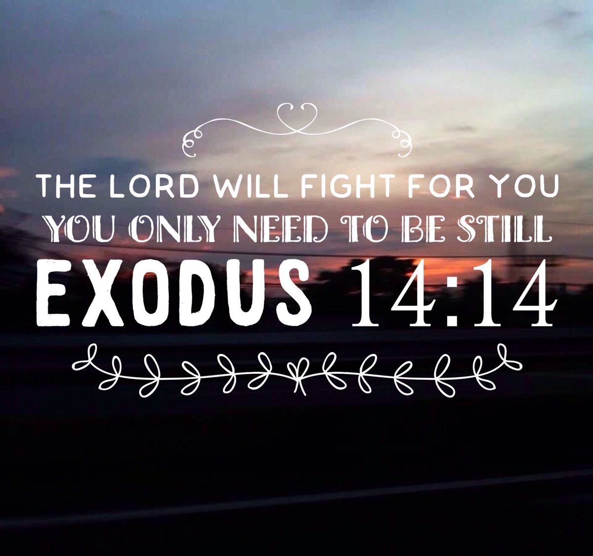 revivalsdork's tweet image. CLEd Performance Task. 🦄✨