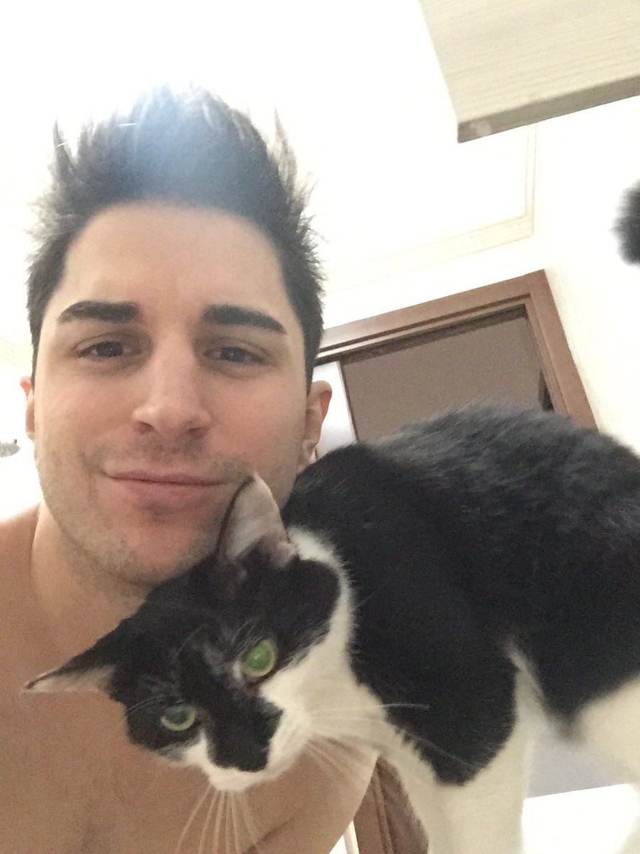 Anima_YT's tweet photo. Leo vi saluta, fa la guardia quando faccio la doccia eh! 
PS: spero di riprendermi presto 💚 https://t.co/qayr6zHKvb
