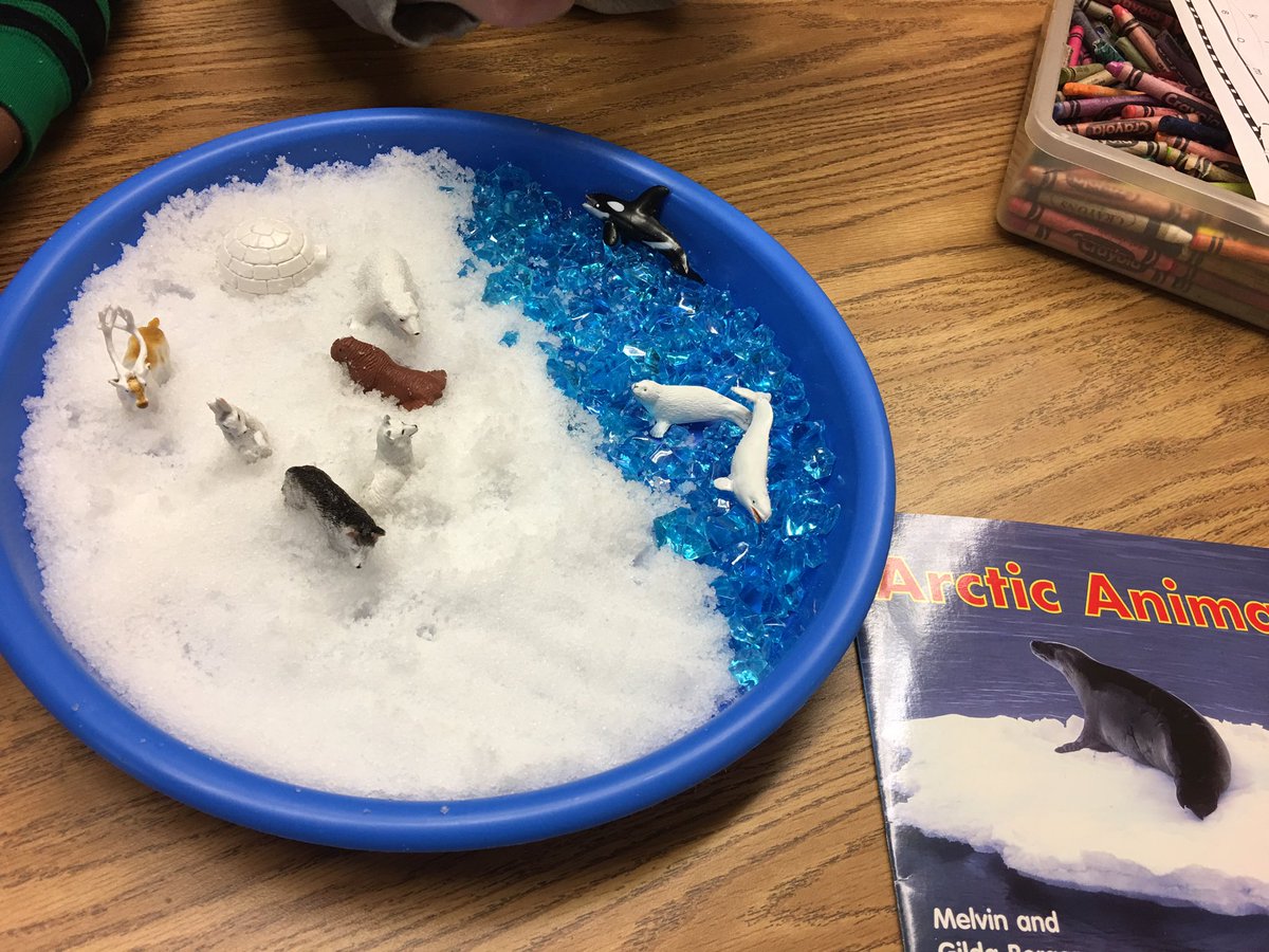 Playing in our Arctic sensory bin while we talk about Arctic animals #speechtherapy #winterthemes #sensorybins