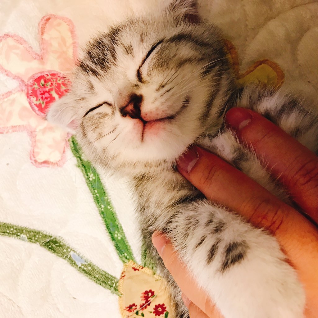 빨강이로 정화해본다ㅠㅠ