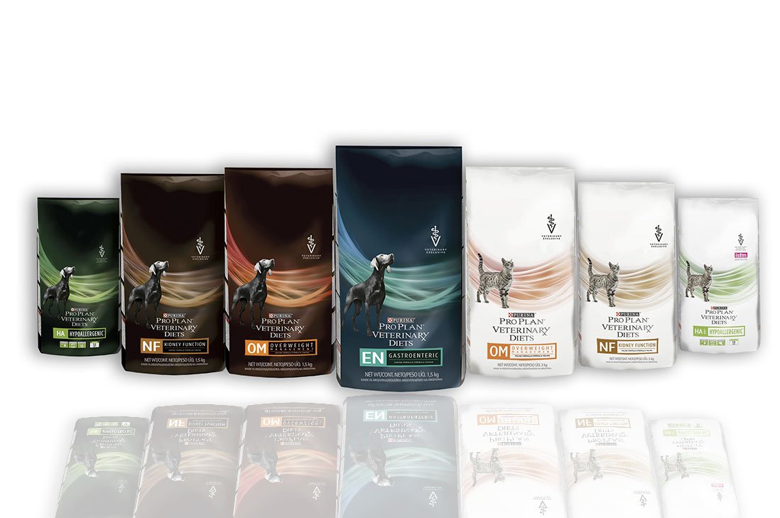 infogatecl's tweet photo. #MASCOTAS:Alimento premium llega al mercado para tratamientos de enfermedades en #perros y #gatos https://t.co/qZPAwSK1xJ @Purina_Chile https://t.co/NLM5P4aPju