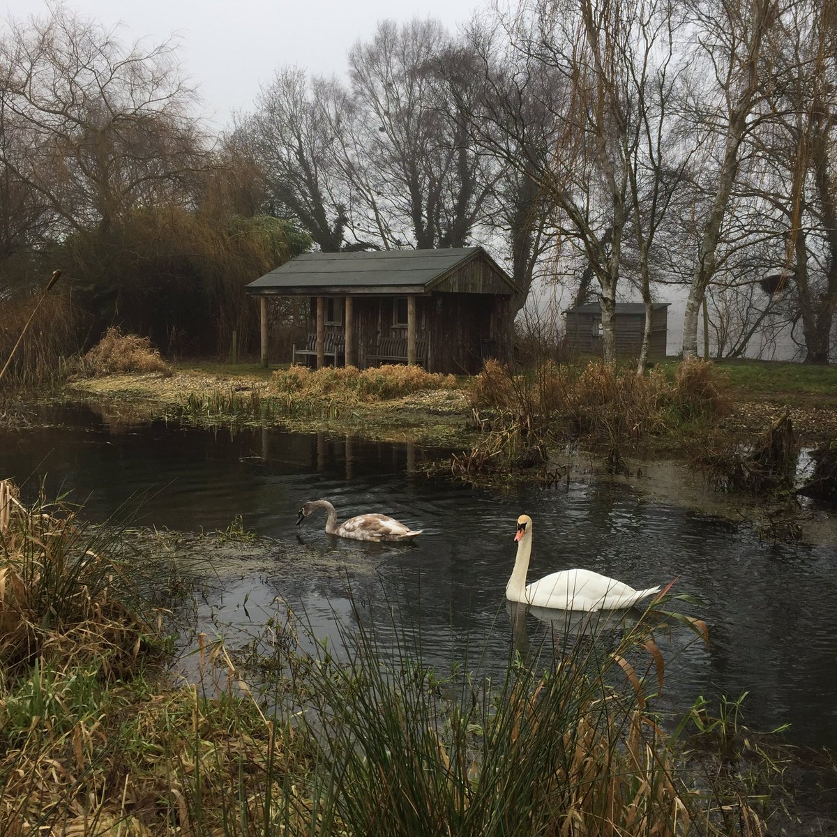 It may be a cold, frosty and dull day, but beauty is all around us, if you look for it... #Wellbeing #lovenature