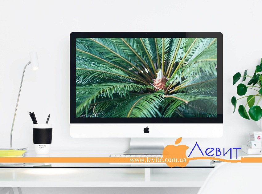 LeviteUa's tweet photo. #моноблоки от #Apple с ОЗУ в 8gb/16gb/32gb ЛЕГКО.
Apple #iMac 27 #Retina5K - https://t.co/r7WgHw3MKk
#Левит #macbook #iphone7 #follow https://t.co/oZybmhqLHR