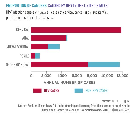 hpv vaccine national cancer institute