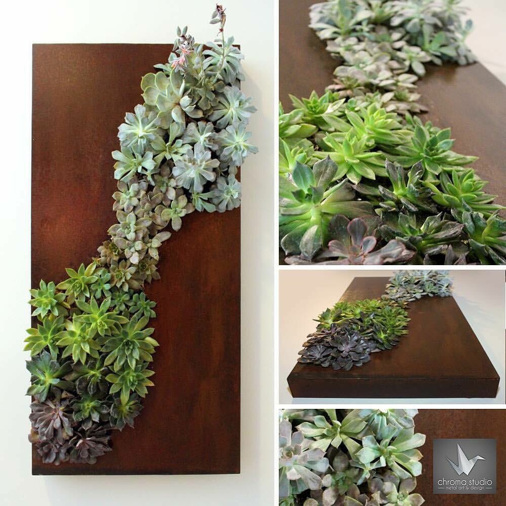 chromastudioart's tweet photo. #Highlighting #succulentsโ #naturalarray of #colors, #Flourish showcases inherent beauty of these #easytocare for #plants. @chromastudioart https://t.co/dkPYevMObN