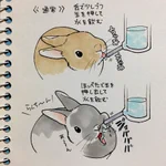 ウサギの水の飲み方が、想像以上にダイナミックでワロタ!
