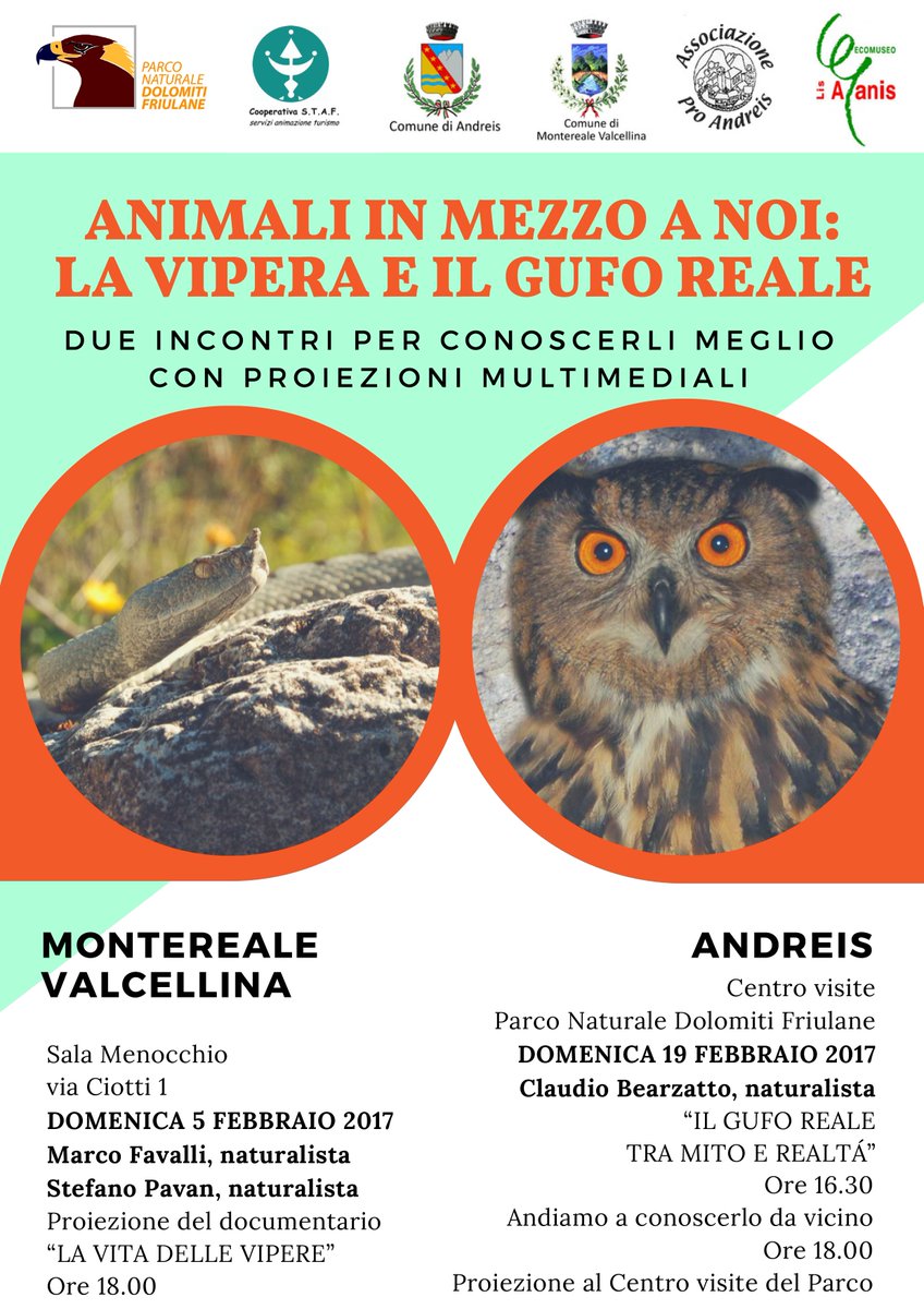 parcoDF's tweet photo. due serate per conoscere da vicino la vipera e il gufo
 #rettili
 #rapacinotturni
 #fauna 
@FVGlive @TgrRaiFVG @DolomitesUNESCO @infofvg https://t.co/cBRlpHHso8