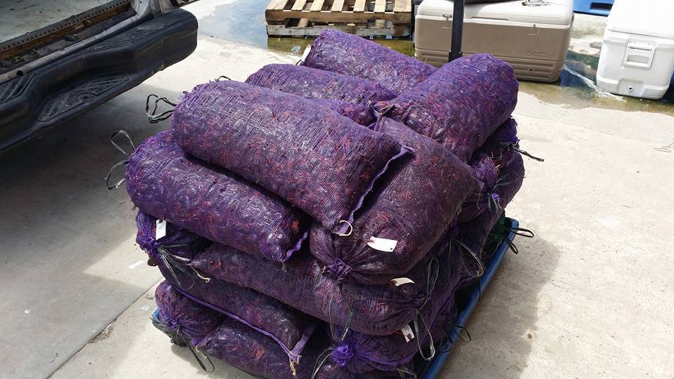 Boyds1Stop's tweet photo. $1.67/LB FIELD RUN CRAWFISH! $1.97/LB PREFERRED!
WEDNESDAY &amp; THURSDAY! https://t.co/FrZRkHTbfe GIVING AWAY A FREE SACK OF CRAWFISH! https://t.co/aTCPWrHAfa