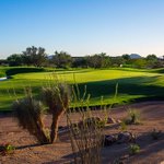 Image for the Tweet beginning: Pictures for your #wednesdaymotivation to