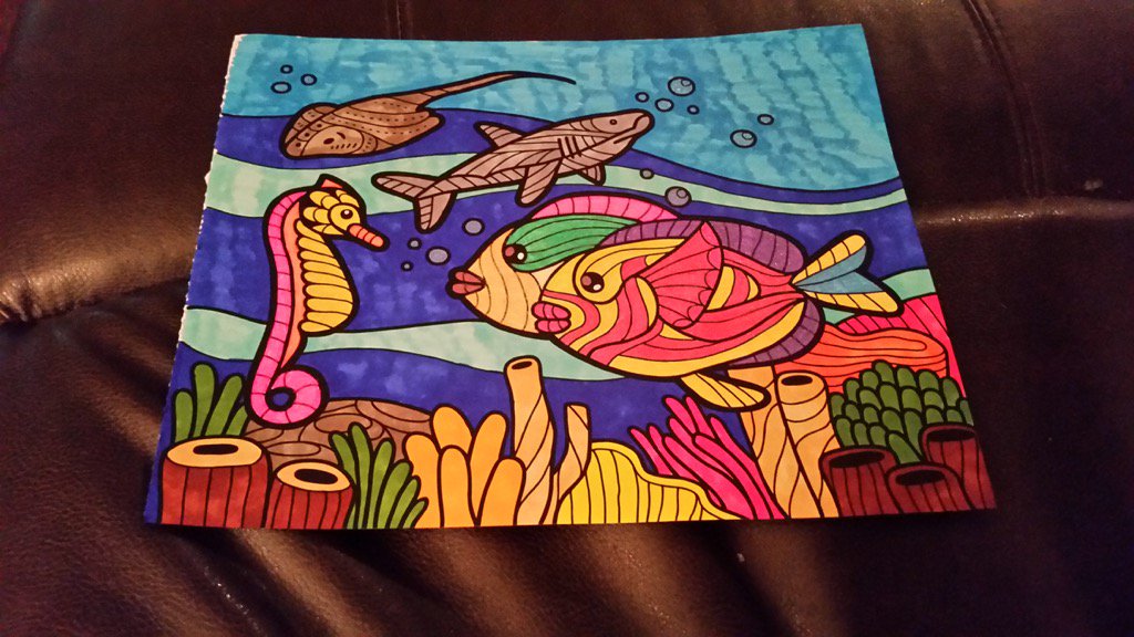 Nees2013's tweet photo. Colorit  Wild Animals #sealife #underwater #fish https://t.co/JRBycxnqCi