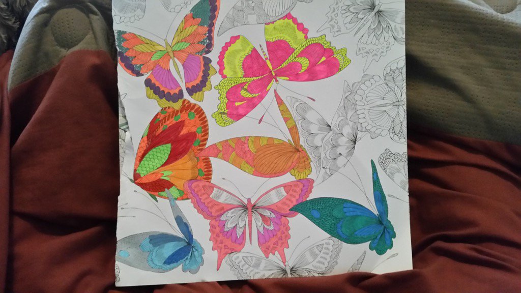 Nees2013's tweet photo. #secondpage
#Butterflies
#Millie Marotta
#wip https://t.co/Q13AZ2pQMX