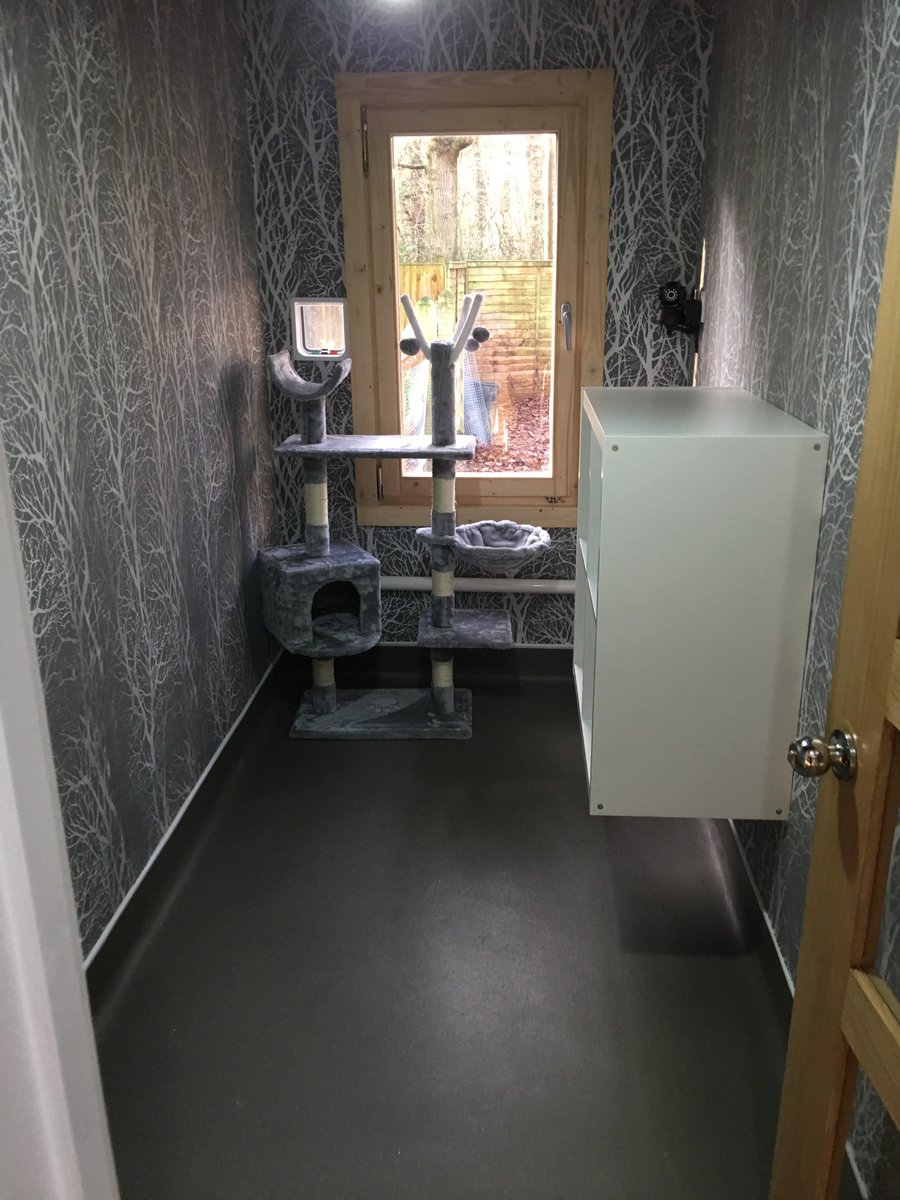 hotelkitty_'s tweet photo. Hotel kitty 5* luxury for cats with 24hour Skype playroom, mood lighting, a la carte menu, private secure balconies, TVs with virtual fish, https://t.co/8FqobnWpUK