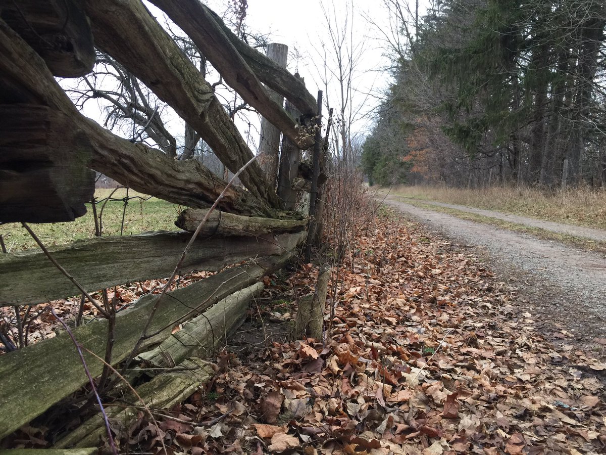 OPBronteCreek's tweet photo. Today is #BellLetsTalk day.  We are proud to offer opportunities for you to spend time in nature.  Reduce stress, symptoms of depression. https://t.co/M06AUxpqpl