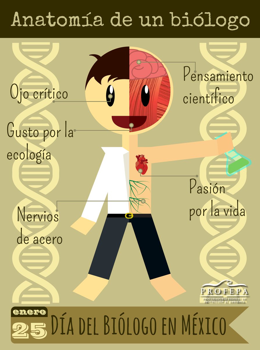 PROFEPA_Mx's tweet photo. ¡Feliz #DíaDelBiólogo!
@PROFEPA_Mx felicita a los biólogos que todos los días aportan su trabajo y esfuerzo en esta noble profesión https://t.co/EFhLQGqo24