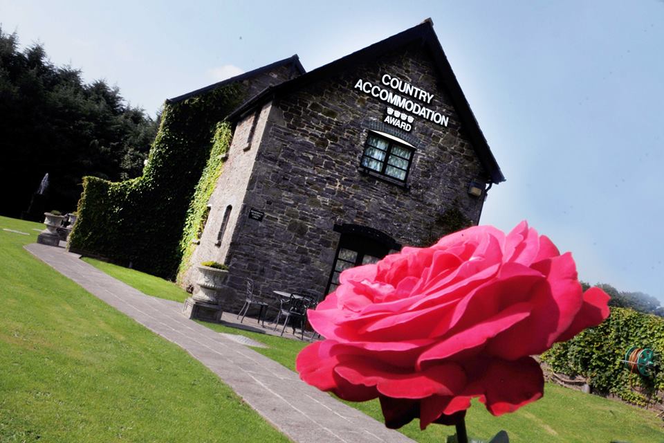 Happy #StDwynwensDay. Join us at our traditional welsh Inn for great food and drink with roaring fires and friendly staff