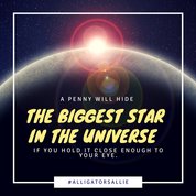 AlligatorSallie's tweet image. Vision doesn’t manifest ~ Aligning Does
#LookInsideFirst   #Perspective   #UniteAndExcite   #SyncIt