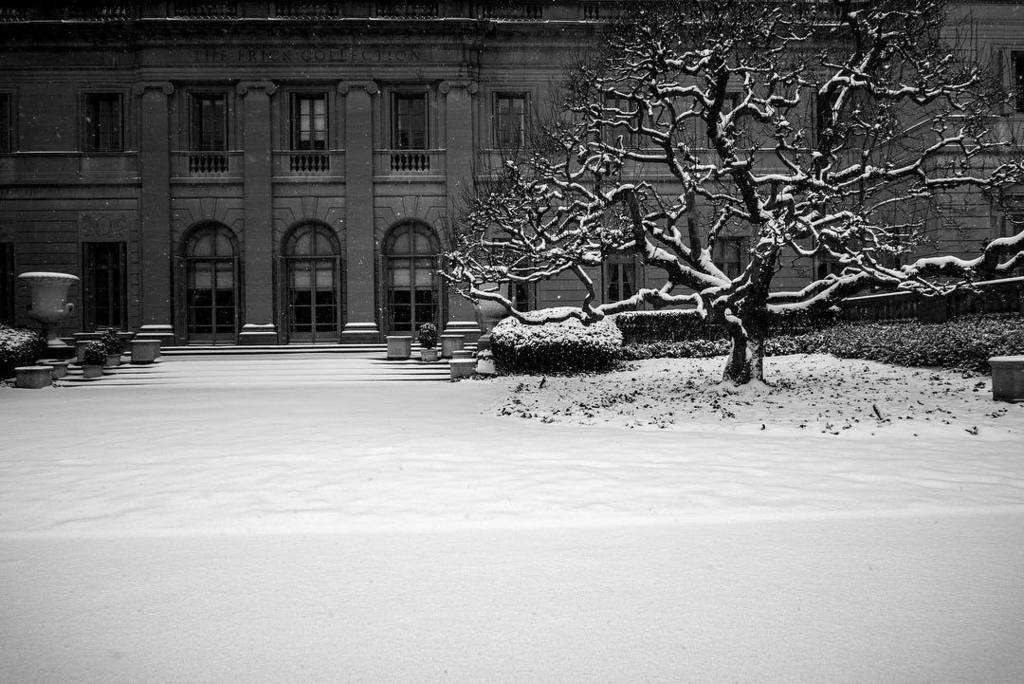 gmlpontes's tweet photo. @leicacamerausa @leicahunter @leica_camera @frickcollection #blackandwhite #arte #snow #ny… https://t.co/7crynacusU https://t.co/KX45XdyZvl