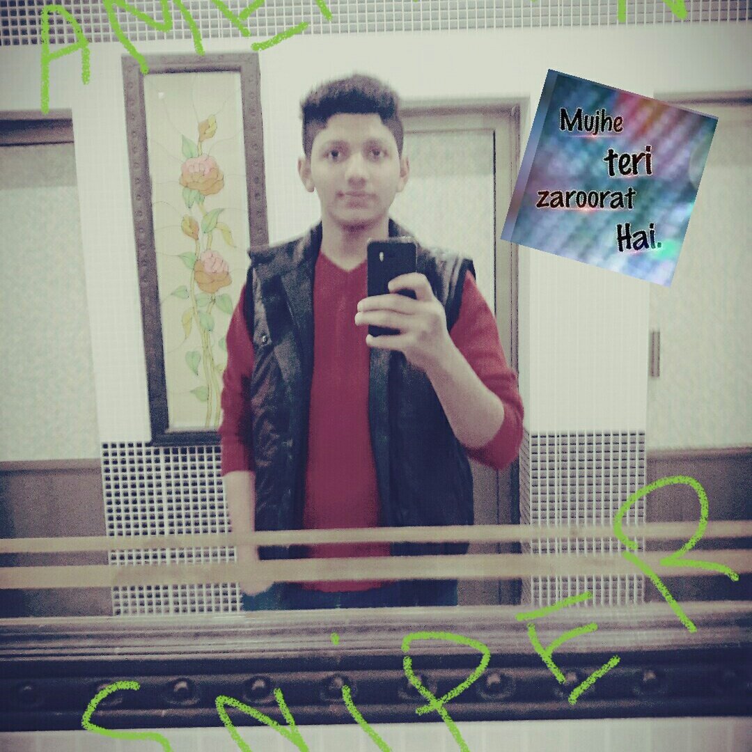 Shib4202's tweet photo. #NewProfilePic https://t.co/KJeOpbnHls