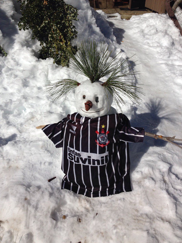 gustavoaeporto's tweet photo. Comemorando o deca do @Corinthians na #CopaSP2017 aqui no frio de @YosemiteNPS! #VaiCorinthians https://t.co/gFPY2FJyX1