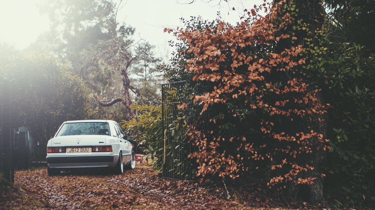 LouisKarsenbarg's tweet photo. I found a lovely @MercedesBenz 190E in the forest last week! https://t.co/AqH3PguN5h