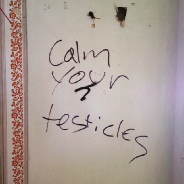 Why_U_Reading's tweet image. Calm your testicles
Hallam Towers, S10

Found by @alisscurtis 
#streetwords #sheffield #graffiti #type #typebrut