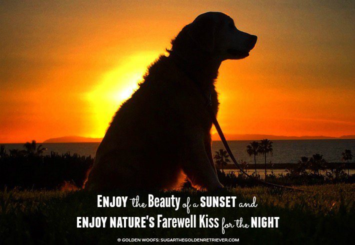 dscald4u's tweet photo. https://t.co/b9ScjGwMm0