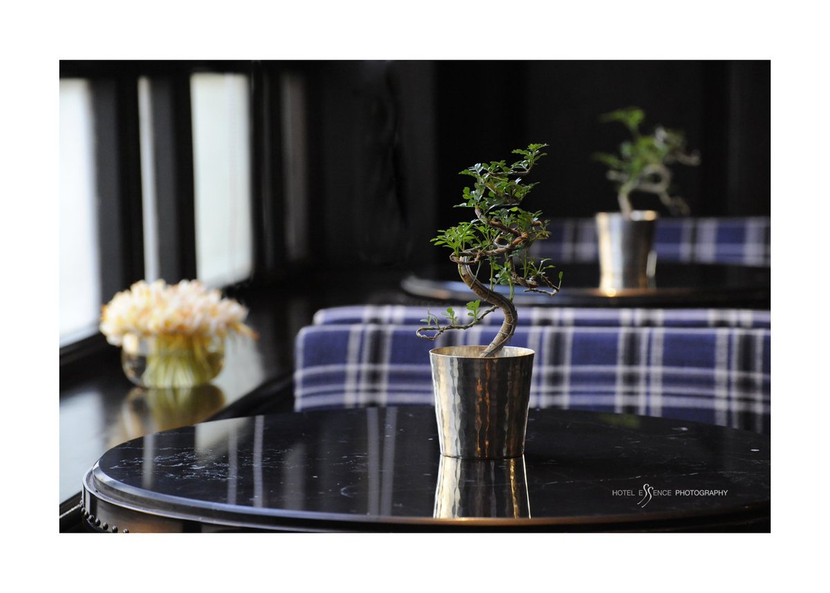 In Hotel #photography the details tell the #story <a href="/TheStrandYGN/">The Strand Yangon</a> #gingerflowers #Bonsai at THE STRAND by <a href="/michellechaplow/">Michelle Chaplow</a> #luxury #travel