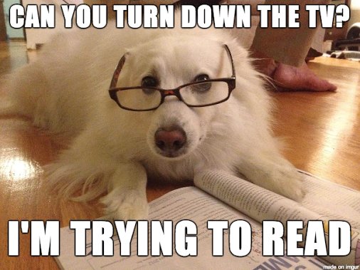 amy_master30's tweet photo. What's better than a meme of a dog wearing glasses?? CI 3401W that's what! #holla #readingrules https://t.co/Qzoaw8WWpb