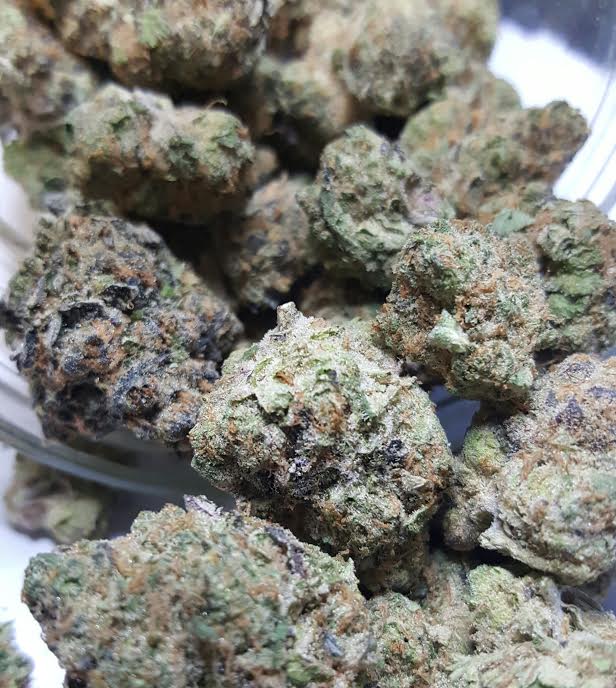 RGDelivery's tweet image. look how nice our SIN MINT looks!