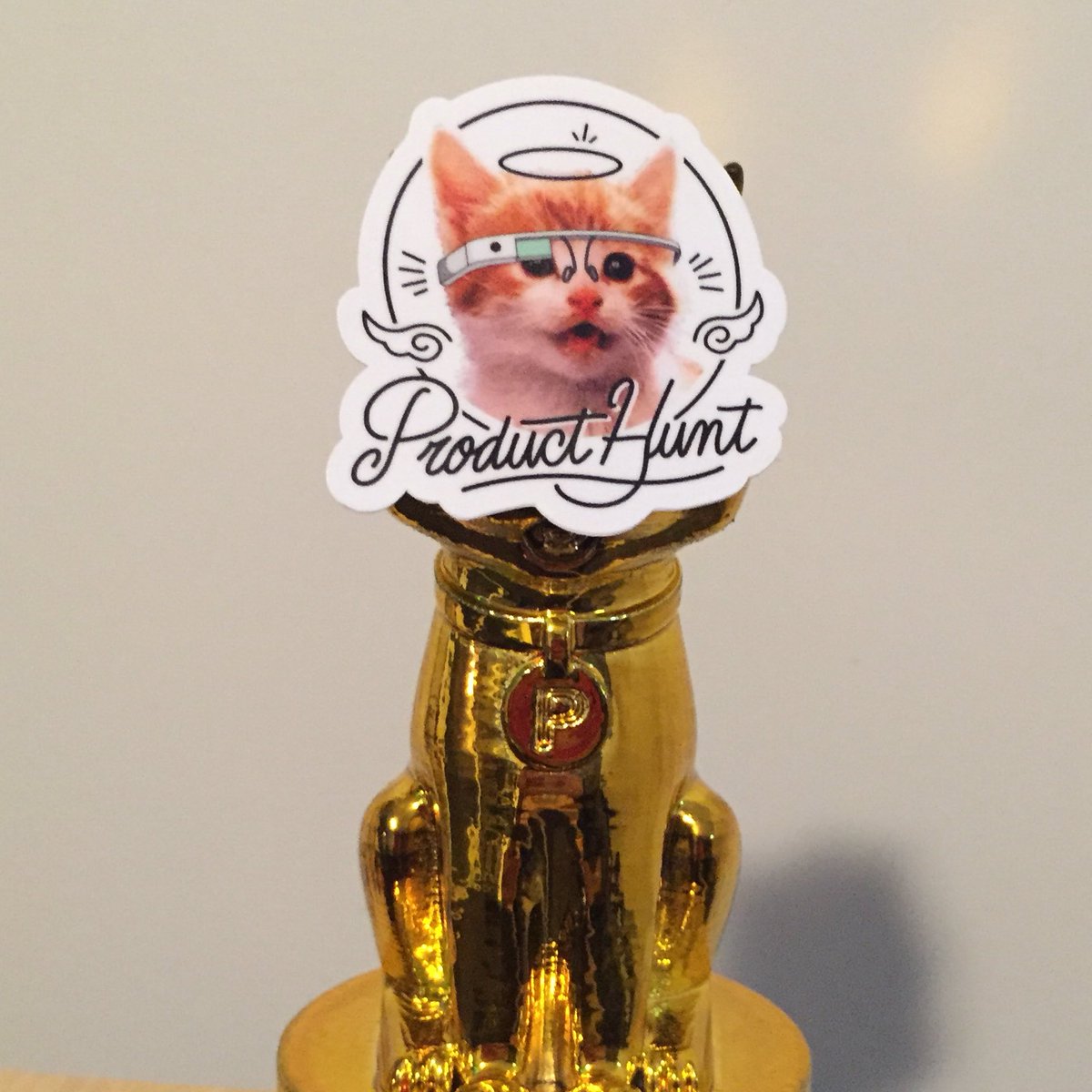 Working hard in 2017, hoping I win a Golden Angel Kitty!