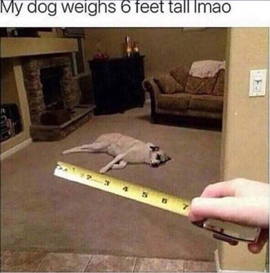 Wyd After smoking this?