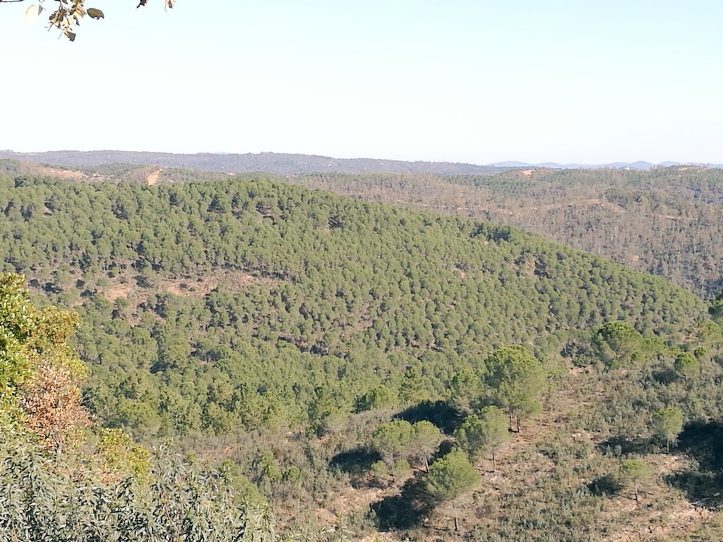 Agf_Acebo's tweet photo. Hemos visitado una finca en Valderde del Camino (Huelva) para una valoración. https://t.co/o2pSG8Qu6a