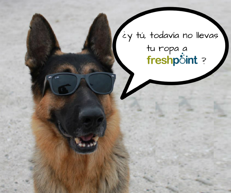 Freshpointmaite tweet picture