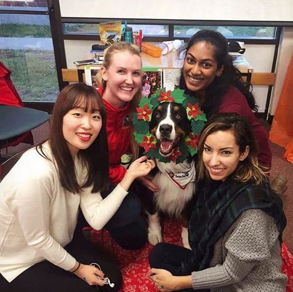 BrockUniversity's tweet photo. Catch these adorable pups in the Kenmore Centre today until 4 p.m. #BellLetsTalk #WellnessWednesday (📷: @MauraVendrig) https://t.co/A6ilFnvyuT
