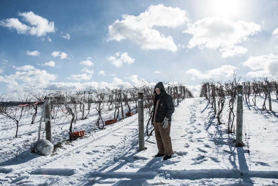 Hunt Country Wines tweet media