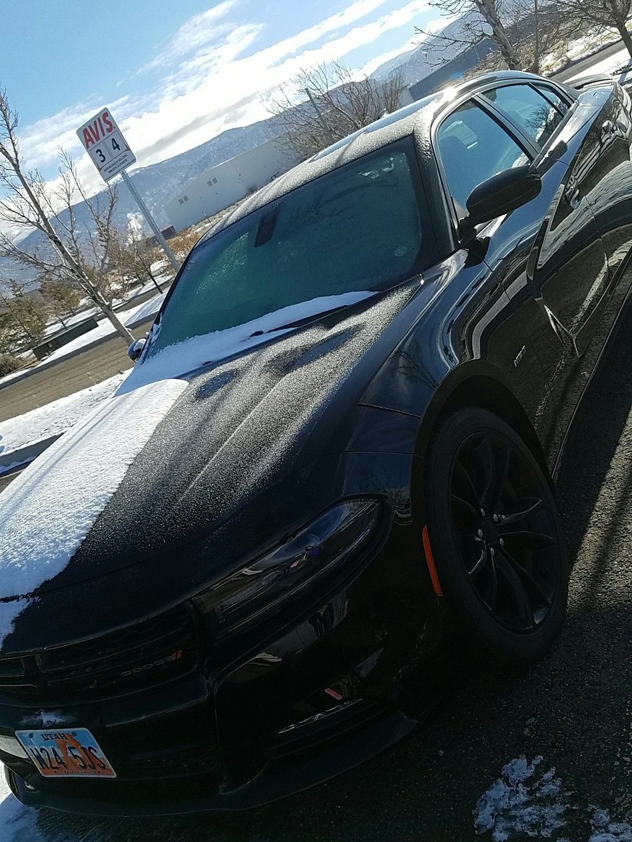 Budget Car Rental Montrose Co Avis Budget Car Rental