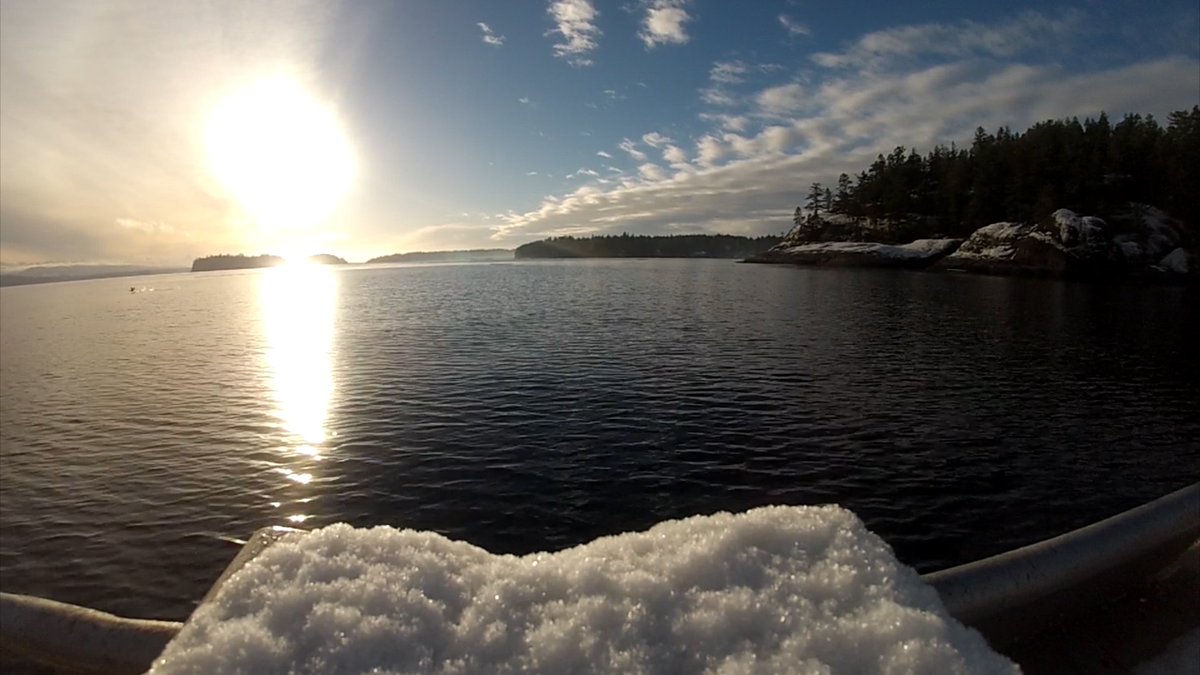 ianhinkle's tweet image. Join a biologist, a filmmaker, &amp;amp; a photographer: talk Images, Storytelling, &amp;amp; Nature. Thurs 7pm @batemancentre #YYJ
facebook.com/events/3894006…