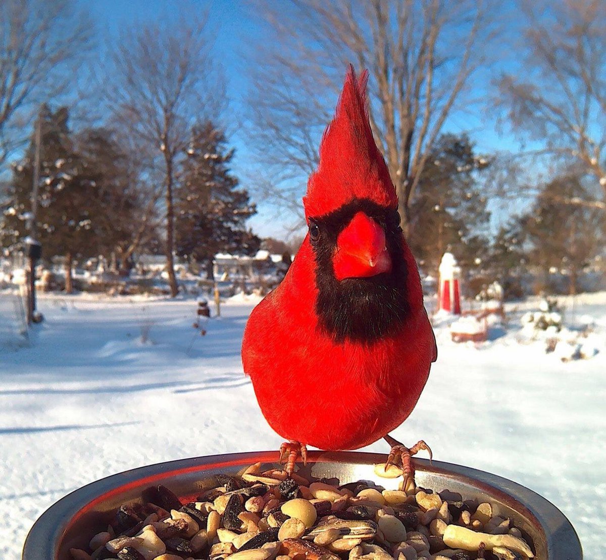 sue_cardinal's tweet photo. Let's talk!!! https://t.co/bz9hgmNimf