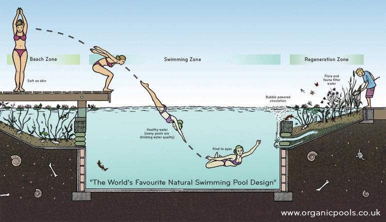 glassisback's tweet image. The making of your own natural pool is possible. 
#Sustainable #DIY #Pool #Pond

organicpools.co.uk