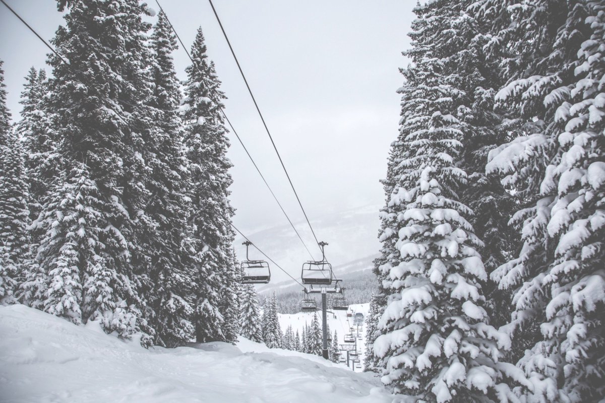 vailmtn's tweet photo. We've had an incredible January with 65" of snow. It's shaping up to be an excellent February and an even better spring. #Vail #VailSnow https://t.co/t8o8GlAUz8