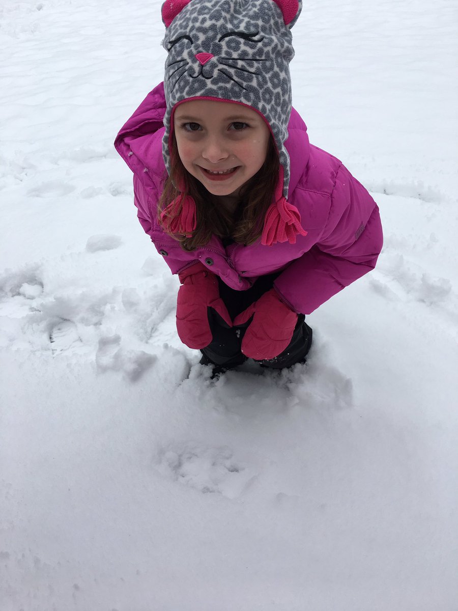 jawagnerPLS's tweet photo. We took advantage of the fresh snow and went on another track hunt! We were so excited to find rabbit tracks! @GrainwoodPLS #rabbittracks https://t.co/25Hyfin64Y