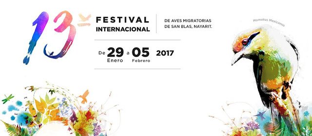 riv_nayarit's tweet photo. #SanBlas International #MigratoryBirds Festival
#BirdObservation Routes, conferences and more...
https://t.co/3ifrMj382e
#RivieraNayarit https://t.co/U4bMTHBtl5