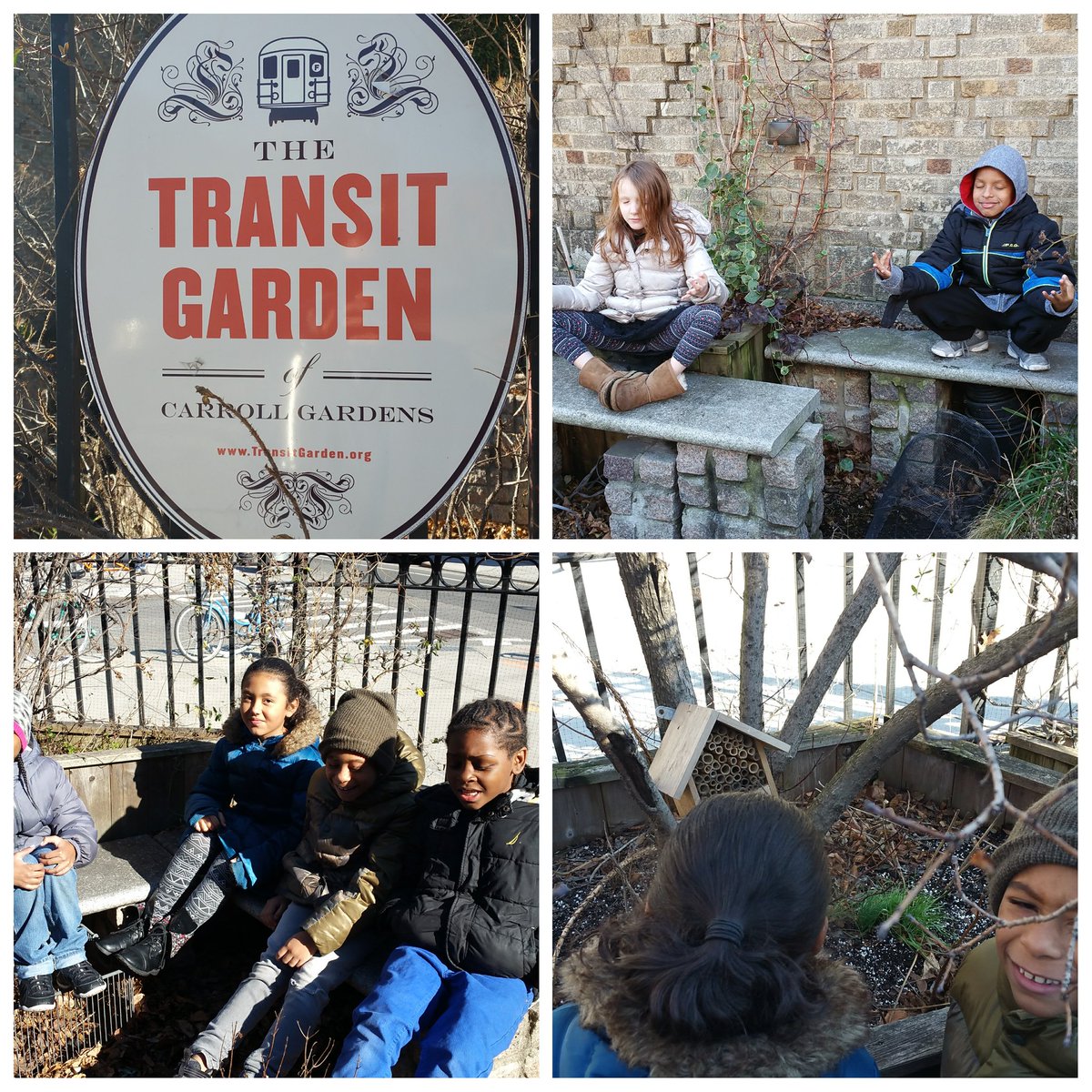 NatureBasedNY's tweet photo. Fun walk to the Transit Garden today!  #communitygarden @PS32Brooklyn #environmentaleducation #brooklyn #goodcitizens https://t.co/DiEvrzd8Wz