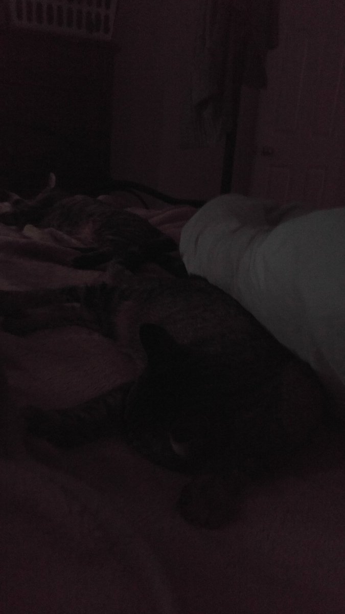 A new horn I'm getting the hang of, 2 healthy cats, and a decent sleep. Good life.