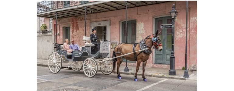 Stampsandslips's tweet photo. #valentinesdaygetawayideas #quickgetaways #neworleans #muleride https://t.co/Y2HXHvEqwz