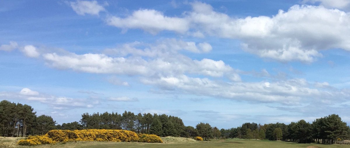 SunstoneLinks's tweet photo. A blaze of spring colour on a great traditional #linksgolf spot in Angus - .@panmuregolf https://t.co/EU2vZlEFFi