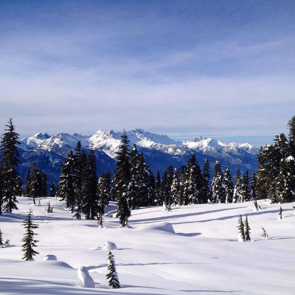 Introducing our first staff #guestgrammer @activelivstyle Clare is our Wedding Coordinator… ift.tt/2k4fSnk