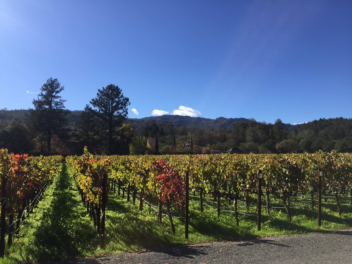 Beautiful St. Helena