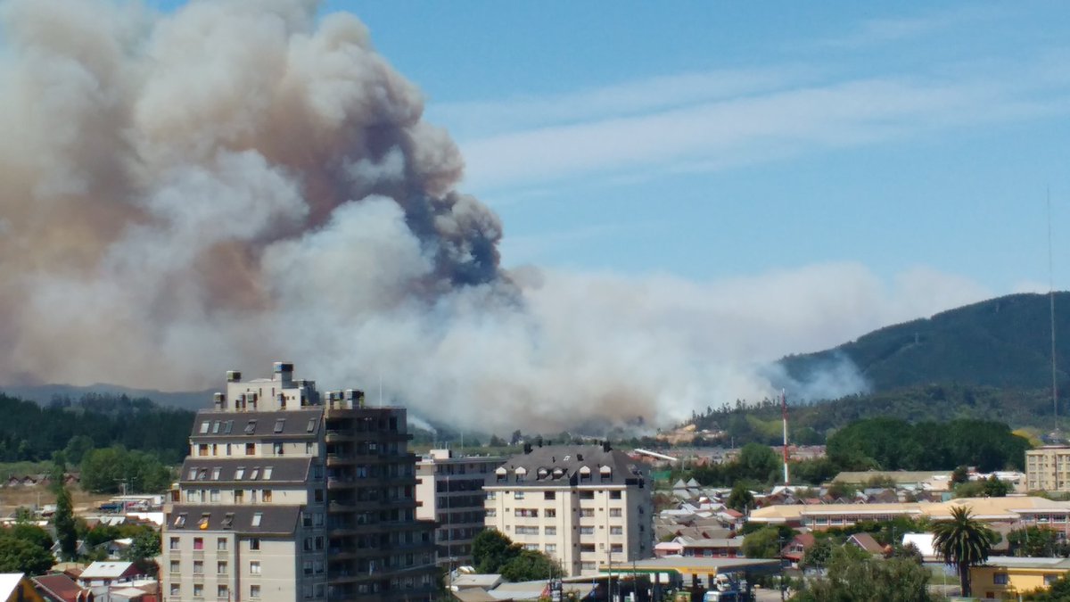 RedBiobio's tweet photo. Las llamas del incendio forestal en Concepción consumieron ex discoteque  https://t.co/yBPgJPjfum https://t.co/HLhe7EGet8